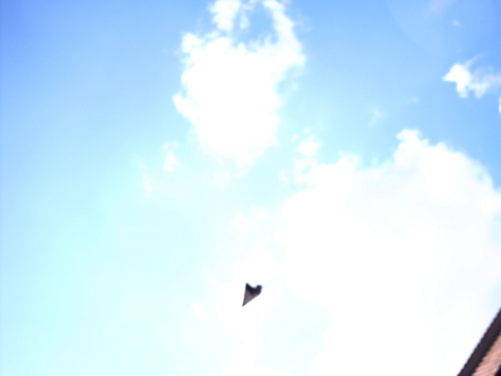 L1150120